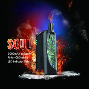 1000mAh Thick Oil Vape Pen Mini Soul Kit