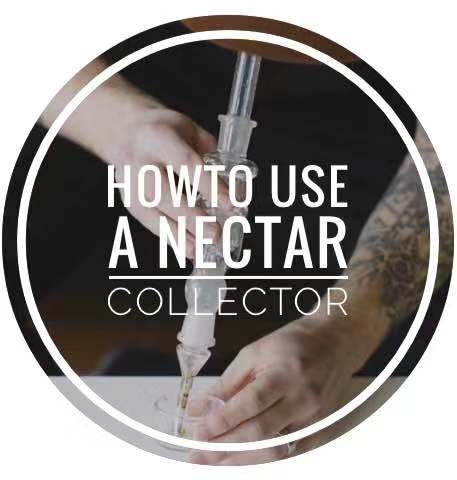How To Use A Nectar Collector | Dabbing 101 | Puffing Bird Wiki